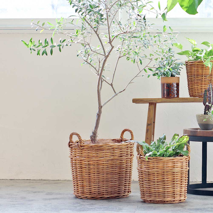 THE AROROG Planter Basket for No. 8 Pots