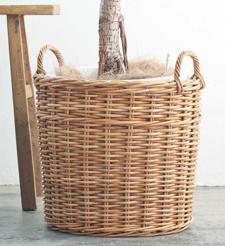 THE AROROG Planter Basket for No. 10 Pots