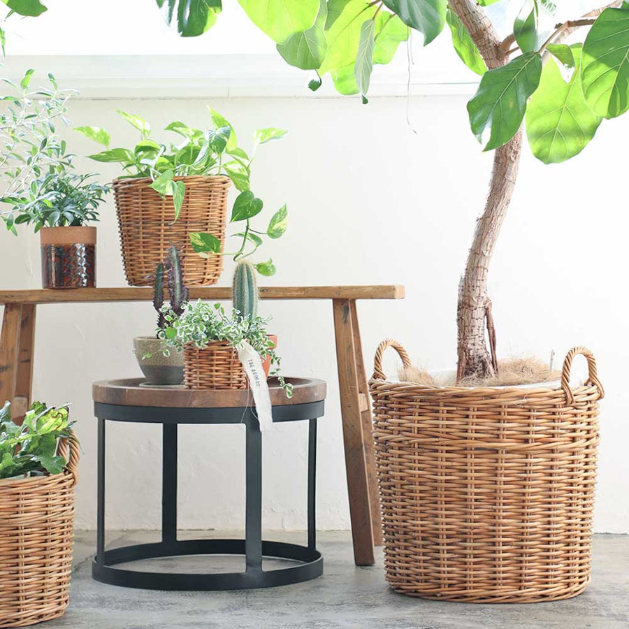 THE AROROG Planter Basket for No. 10 Pots