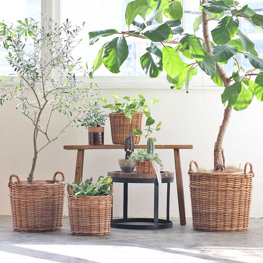 THE AROROG Planter Basket for No. 10 Pots