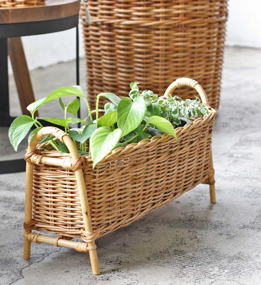 THE AROROG ARALOG Planter Stand Long S Size