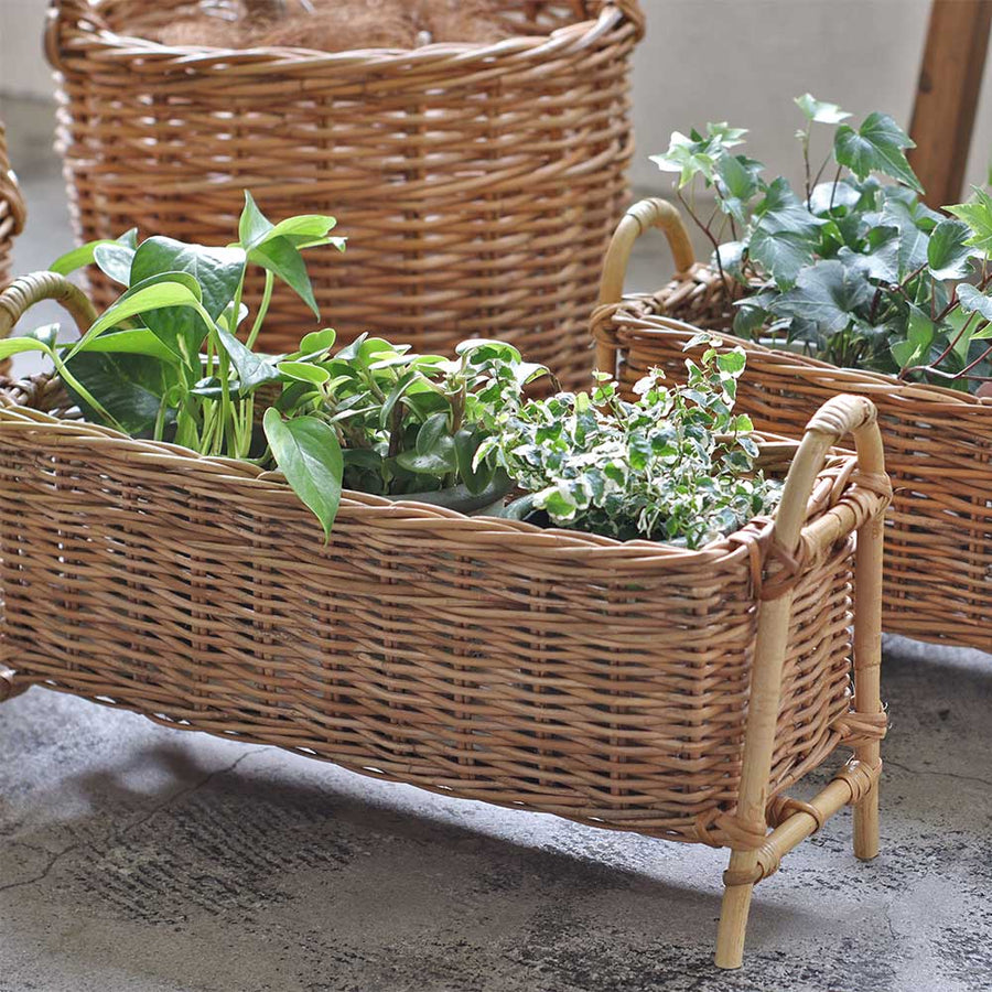 THE AROROG ARALOG Planter Stand Long S Size