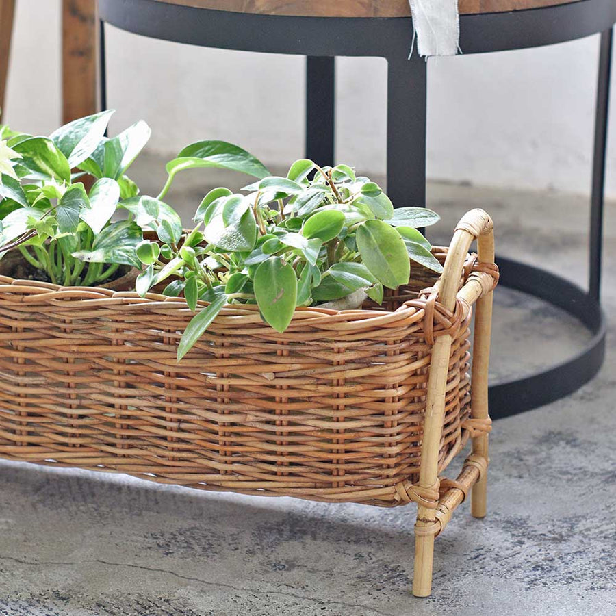 THE AROROG ARALOG Planter Stand Long S Size