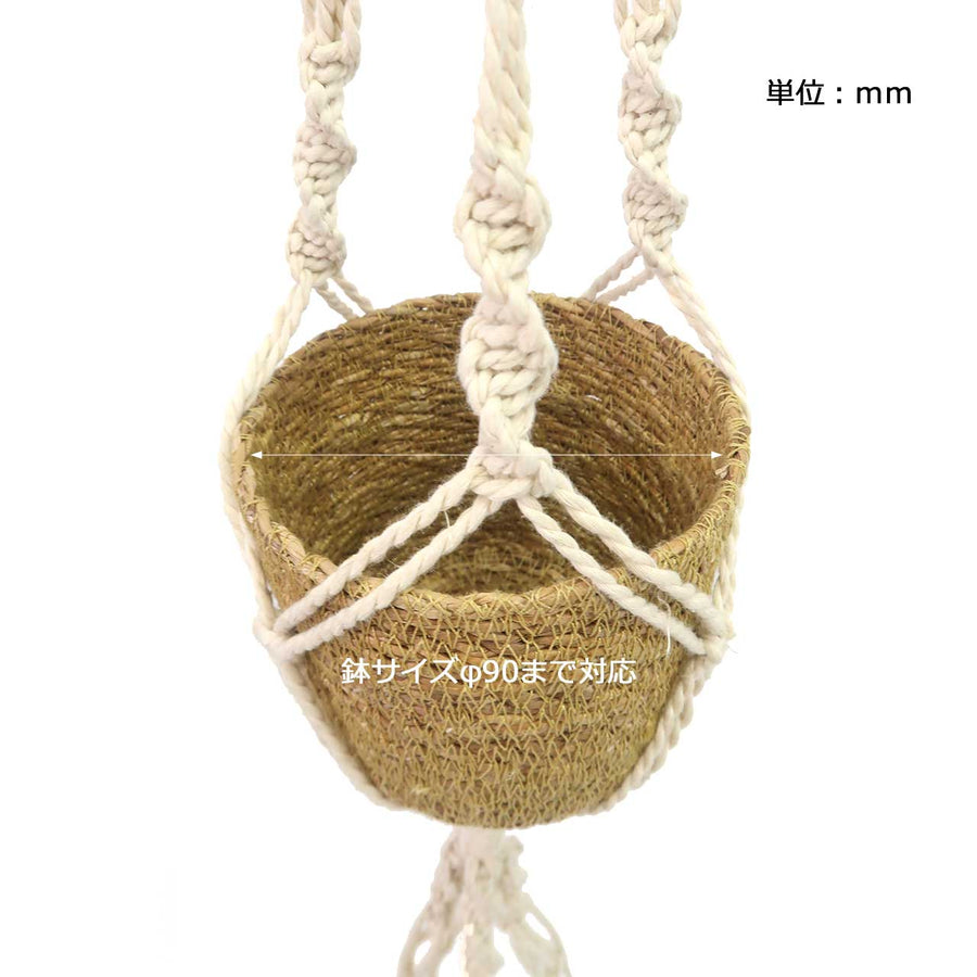 A LIFE WITH THEM Macrame Hanging Pot, 2 Pieces