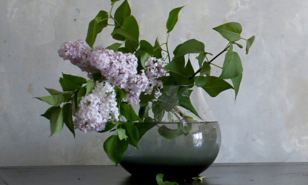 Flower vase no.23 smoke gray