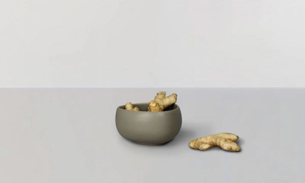 シグネチャーボウル XS ペールグリーン