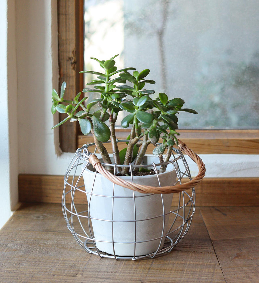 Dusaule One-Handle Basket