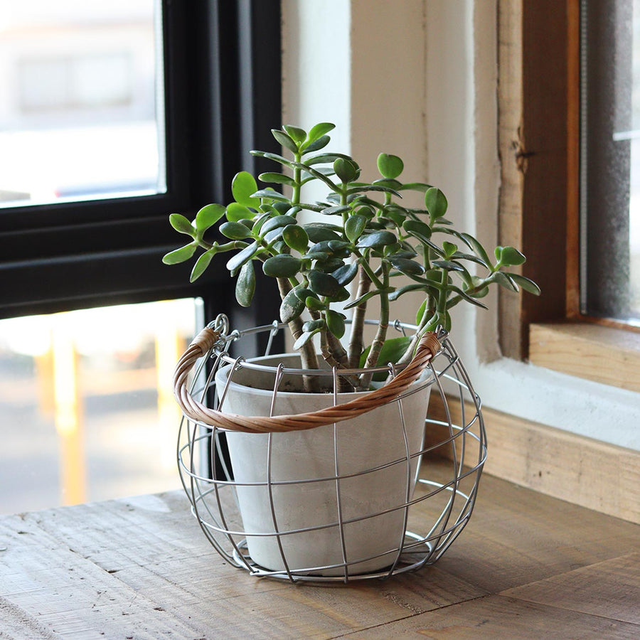 Dusaule One-Handle Basket