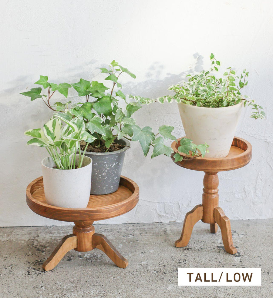 NEIN MARKE Pine Pot Stand Tall