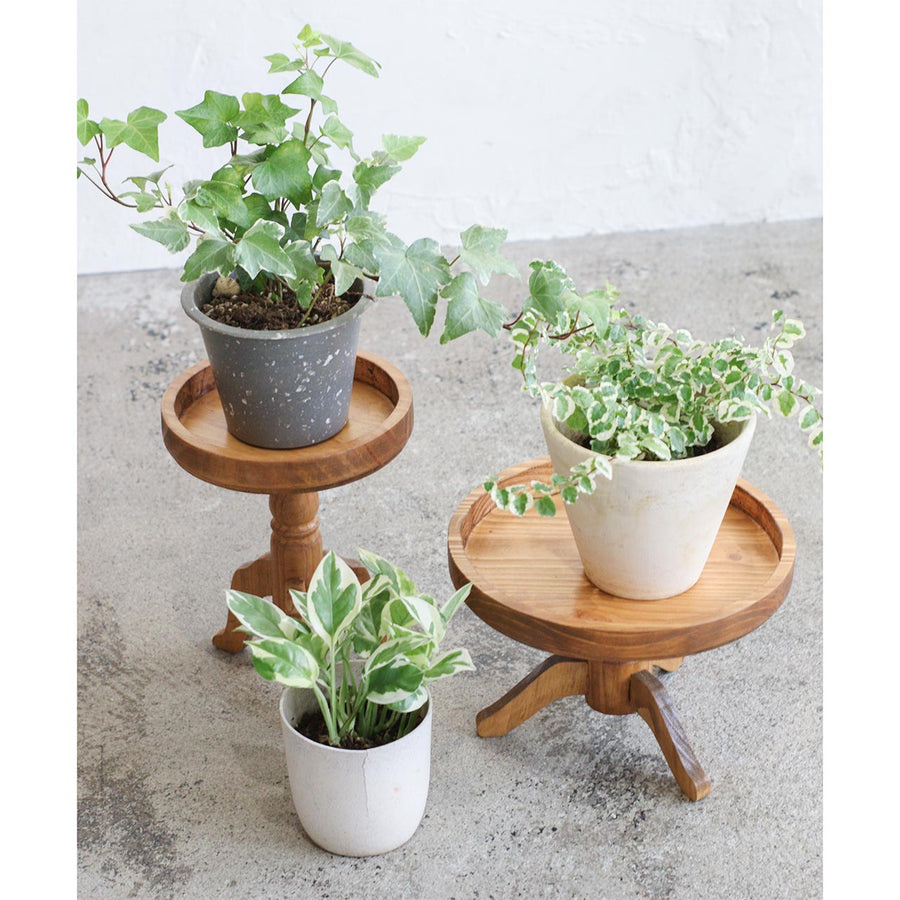 NEIN MARKE Pine Pot Stand Tall