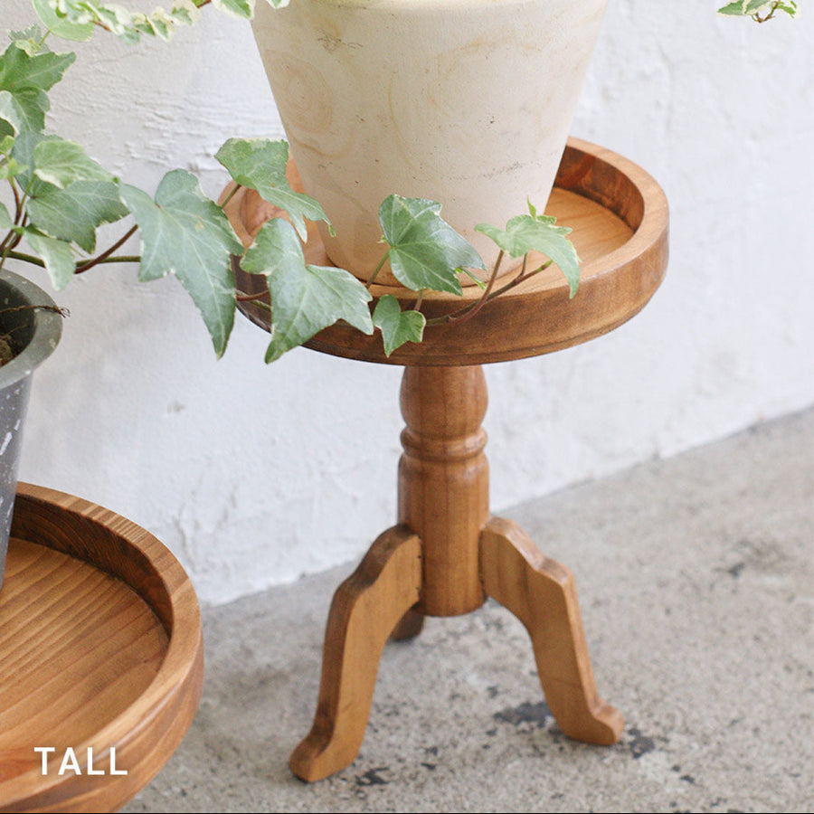 NEIN MARKE Pine Pot Stand Tall