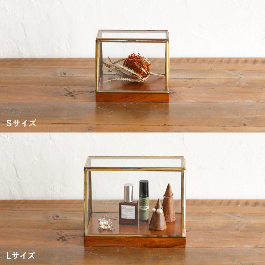 alten（アルテン）ブラスショーケース S