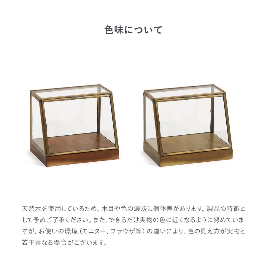 alten（アルテン）ブラスショーケース S