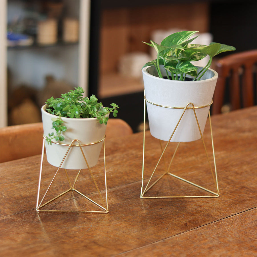in bloom Line Pot Stand L