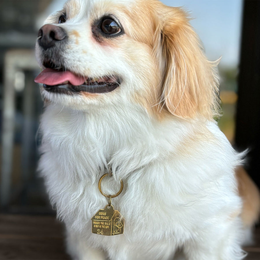 DOG HOUSE CHARM & MOTEL KEY CHARM キーチャーム