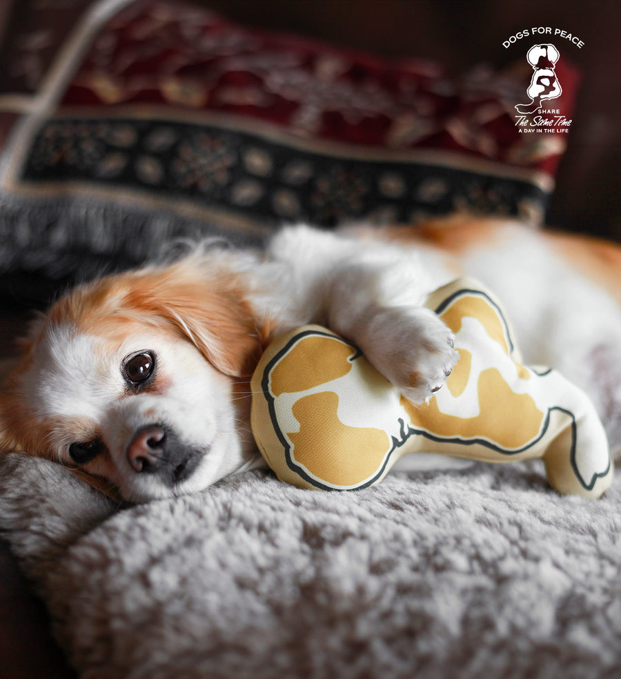 ICON BODY PILLOW 抱き枕