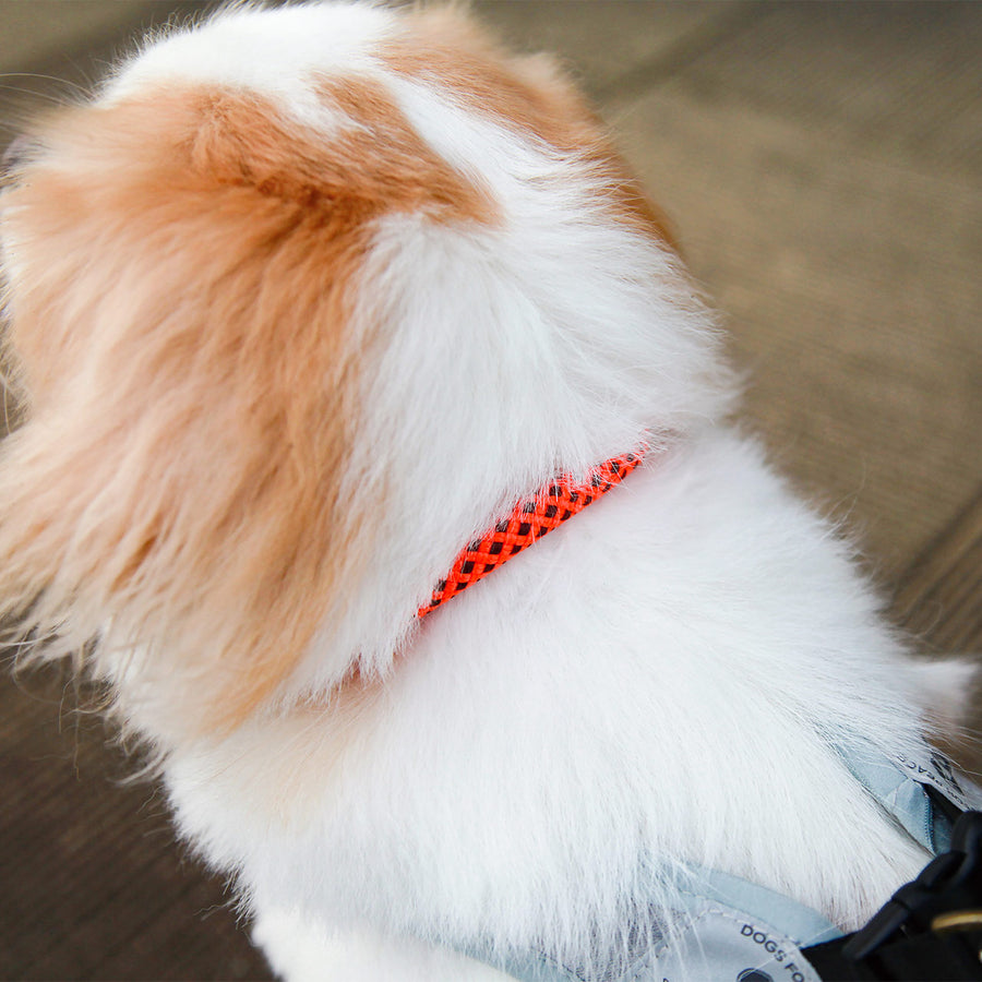CLIMBING ROPE COLLAR S