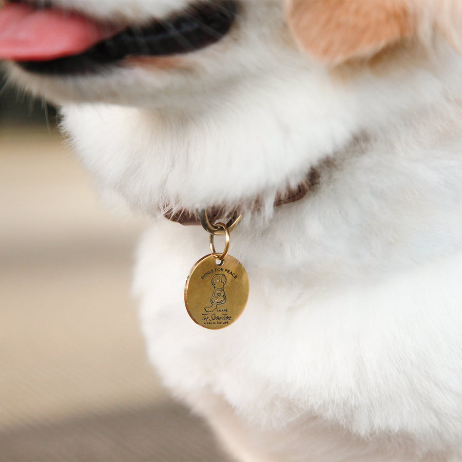 CLIMBING ROPE COLLAR S