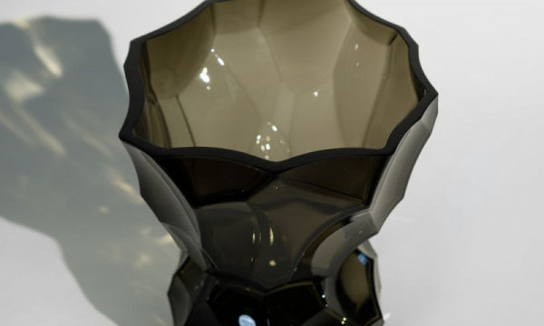 Flower Vase Reflection New Smoke