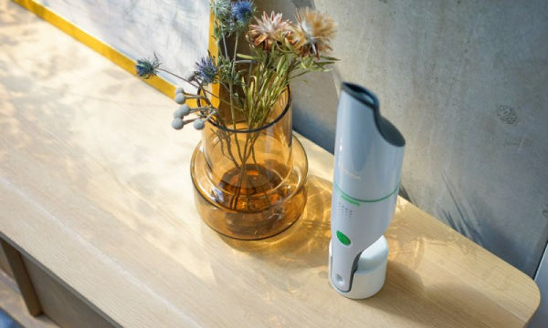 Rechargeable handheld vacuum cleaner VC100S