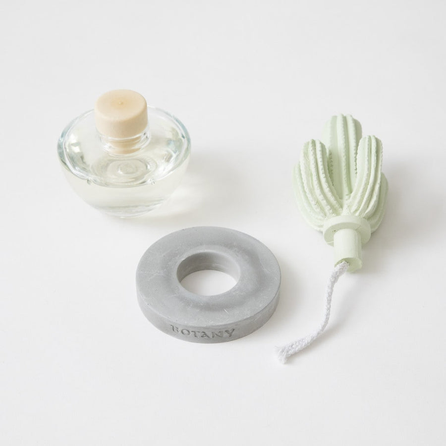 Cactus Fragrance Diffuser B Ocean Breeze