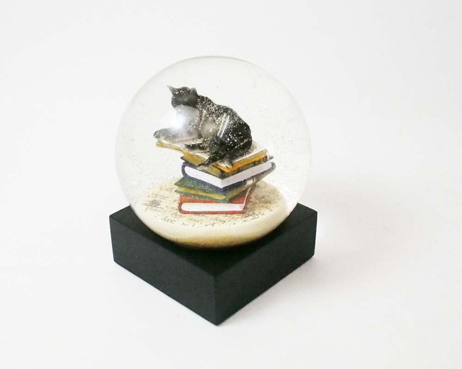 Snow Dome Cat on Books クールスノーグローブス