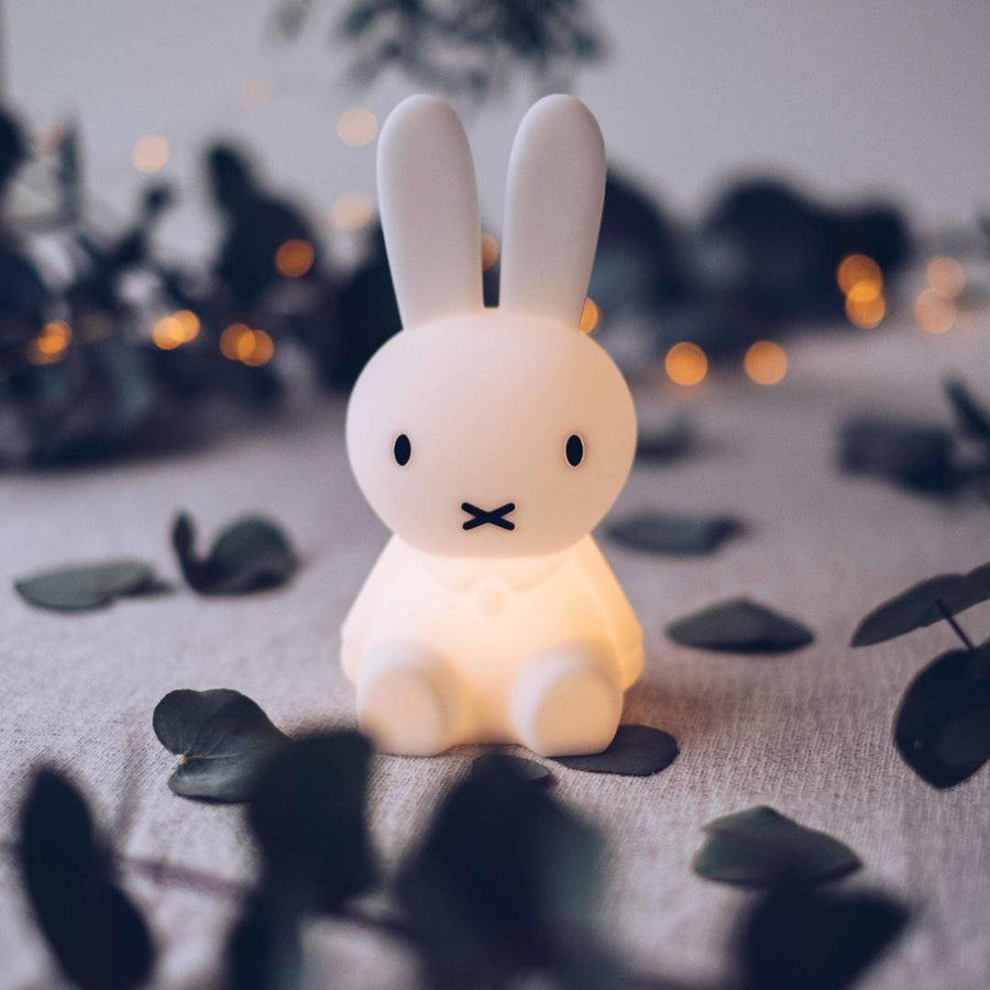 Bundle of Light Miffy