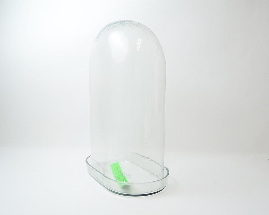 DISPLAY GLASS DOME ディスプレイガラスドーム