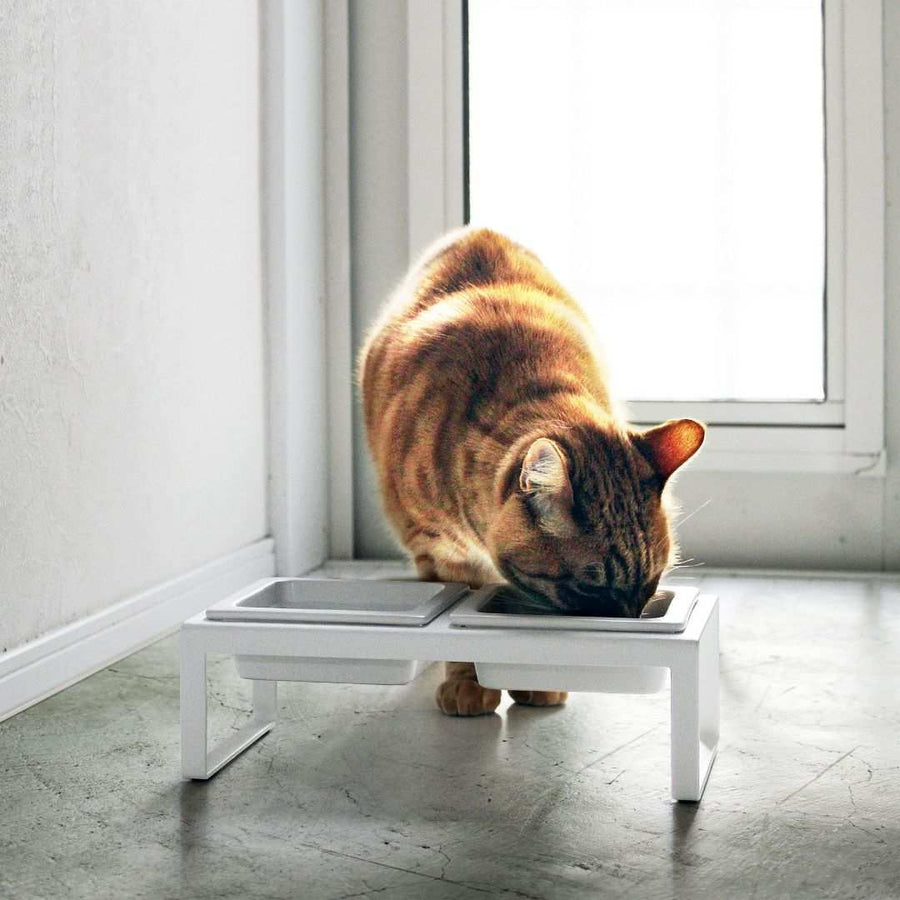Tower Pet Food Bowl Set, Tall
