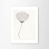 Ana Frois Poppy A4