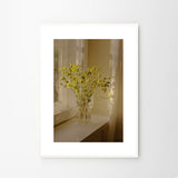 Ana Santl Warmth A4