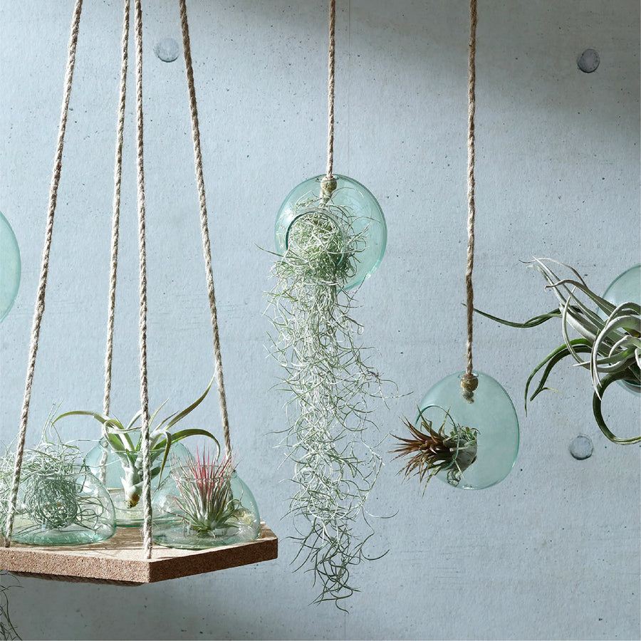 CANOPY HANGING PLANTER SET H8cm