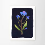 Clara Schicketanz Night Flower A4