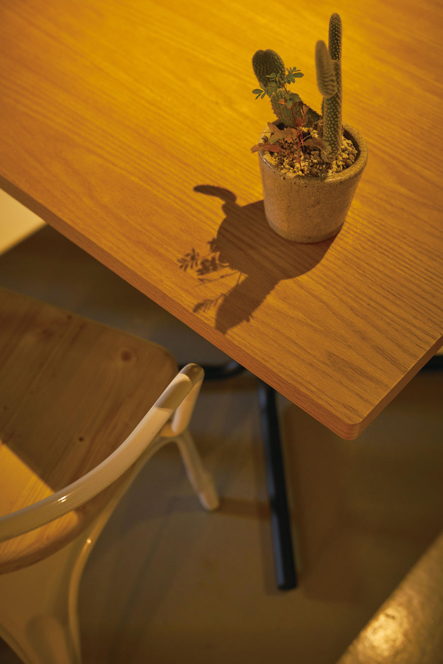 Dario Cafe Table Natural