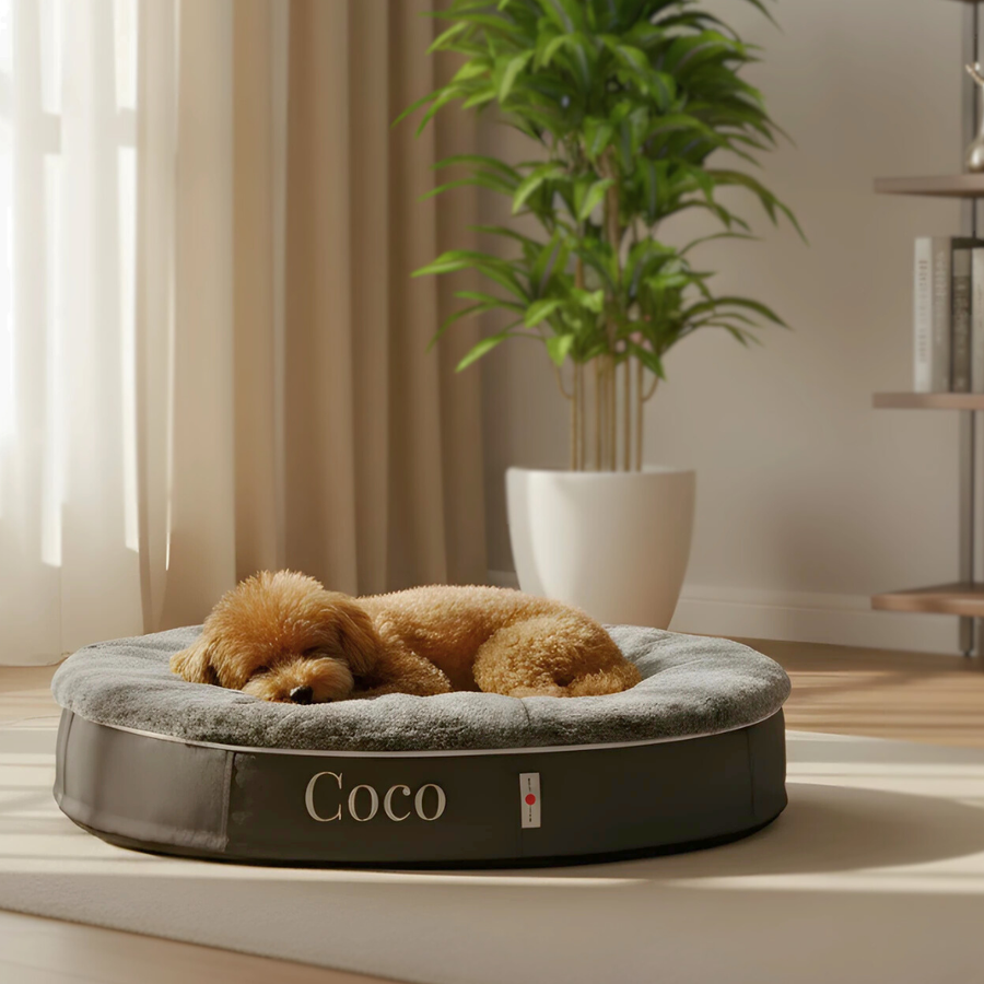 ambient lounge(アンビエントラウンジ) Dog Pet Lounge High L Gray