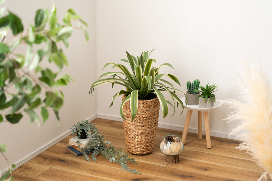 High-type planter