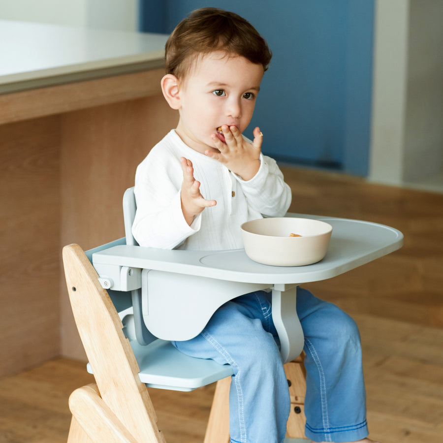 Food Tray Gray