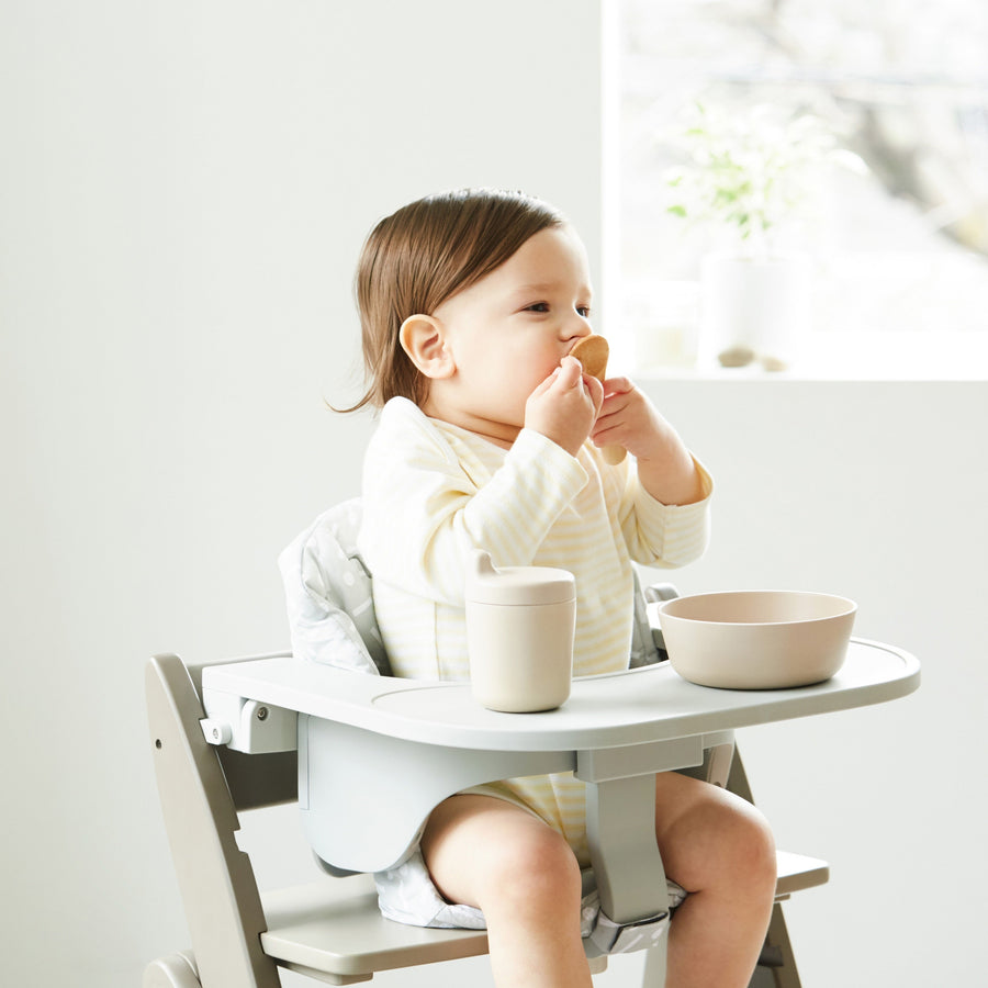 Food Tray Gray