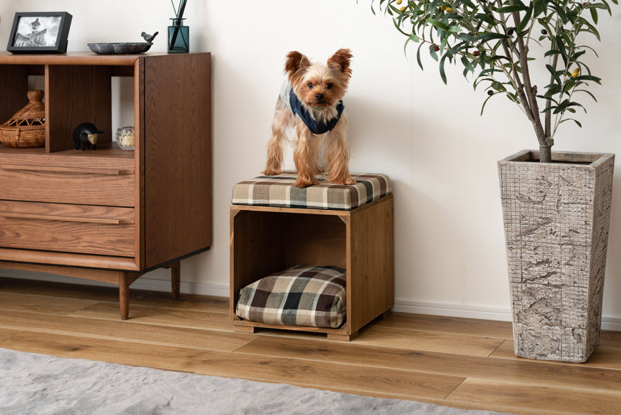 Pet Stool Brown