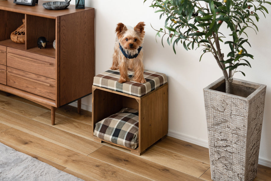 Pet Stool Brown