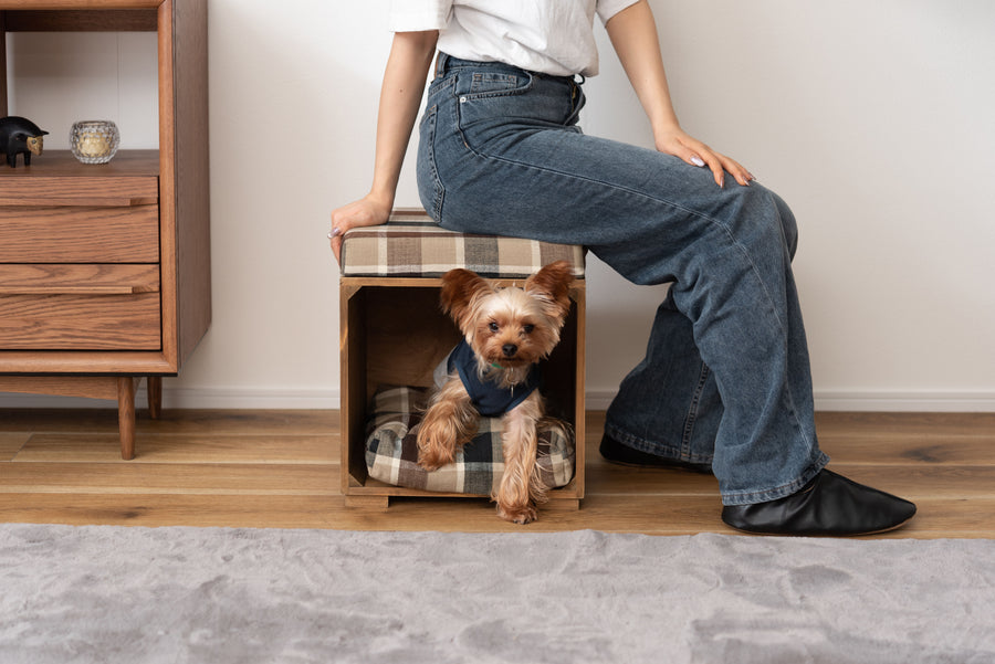 Pet Stool Brown
