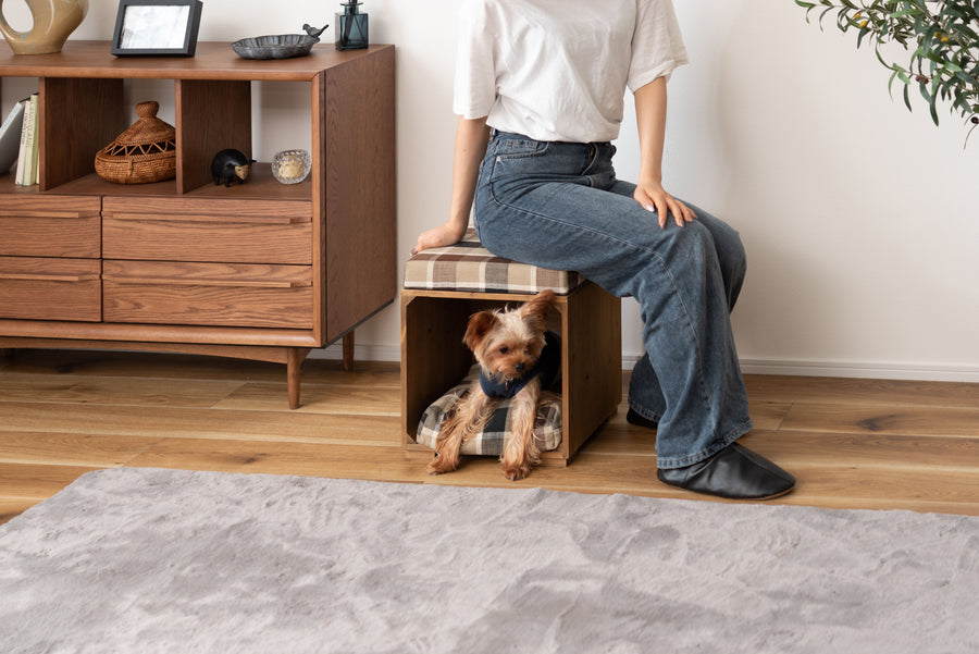 Pet Stool Brown