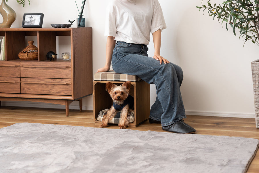 Pet Stool Brown