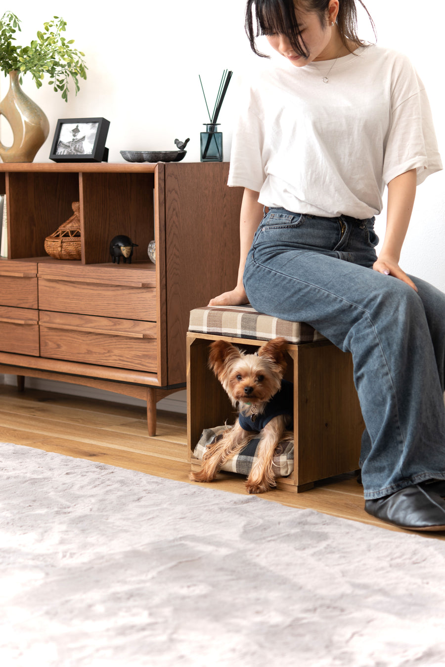 Pet Stool Brown