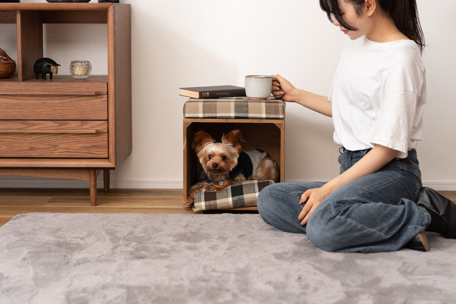 Pet Stool Brown