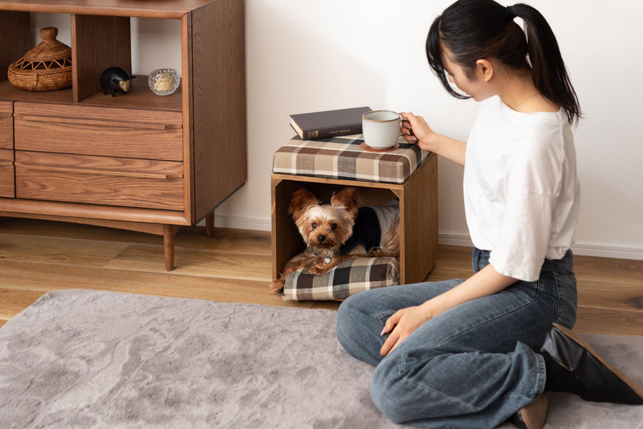 Pet Stool Brown