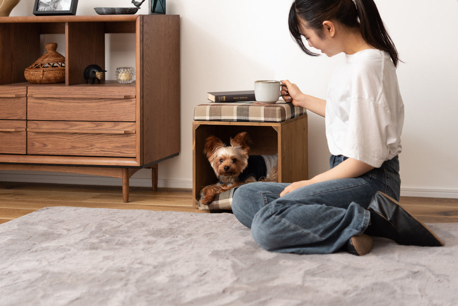 Pet Stool Brown