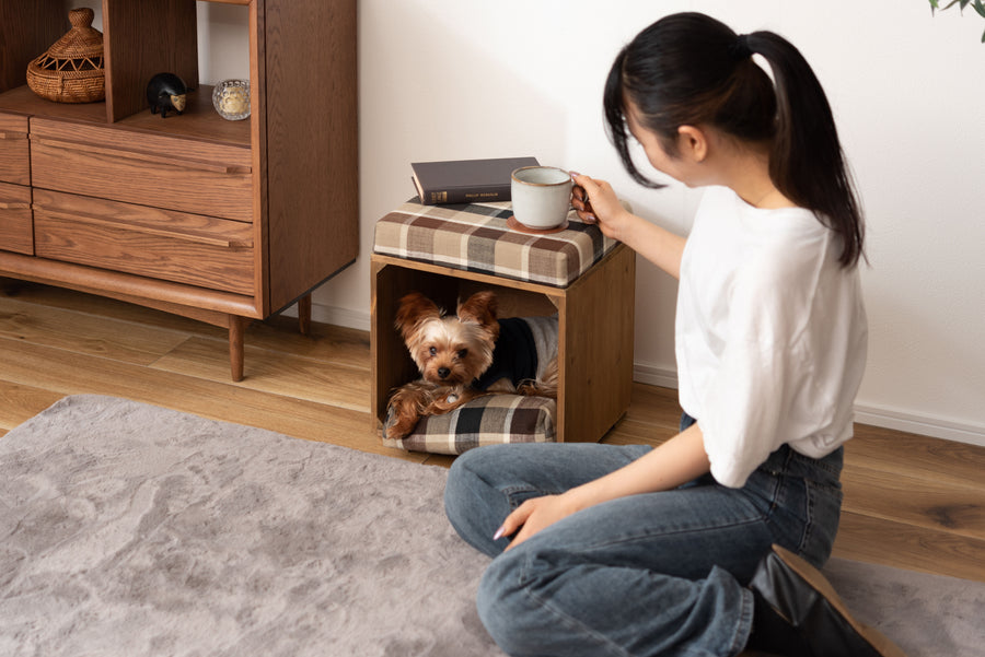 Pet Stool Brown