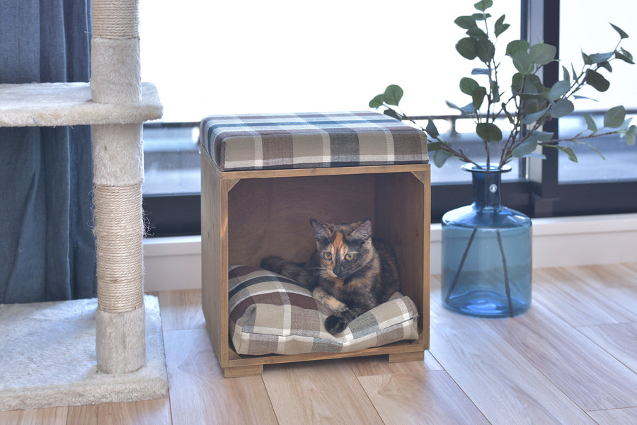Pet Stool Brown
