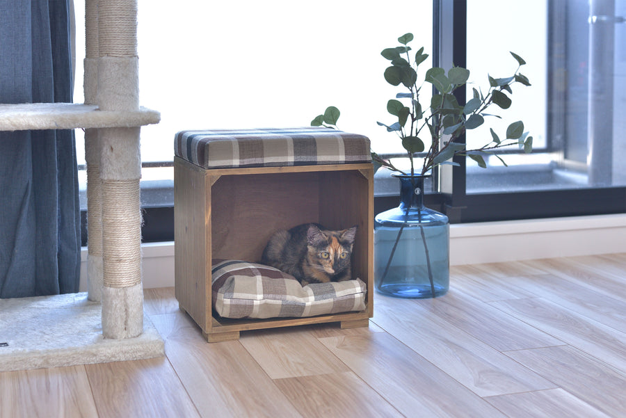 Pet Stool Brown